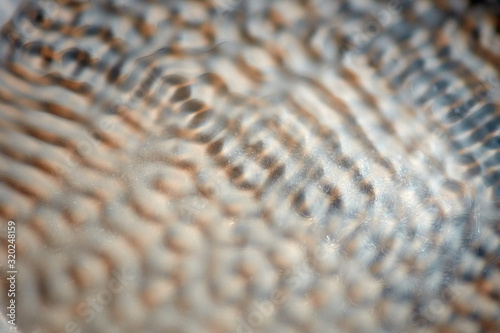 Abstract rippled background texture. Surface of water frozen in time, hi contrast lighting exposes the fascinating patterns created by soundwaves traveling directly through it. 