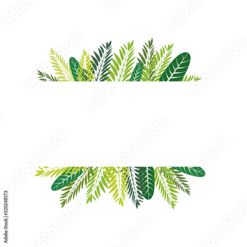 cadre feuille nature 