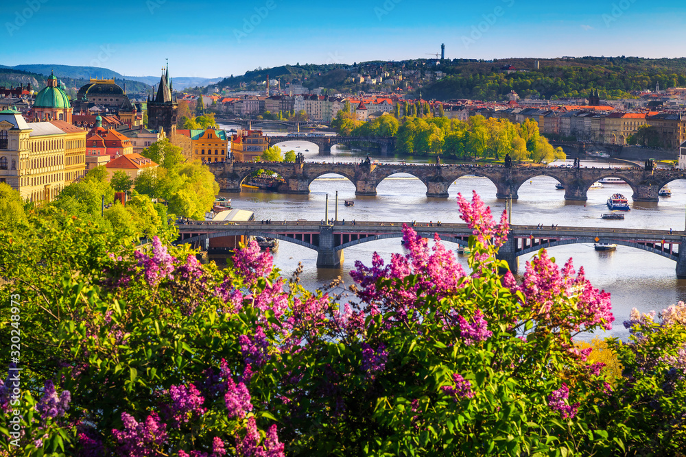Wonderful spring panorama of Prague with river and bridges - obrazy, fototapety, plakaty 