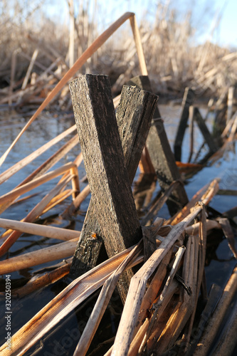 Posts in a Stream