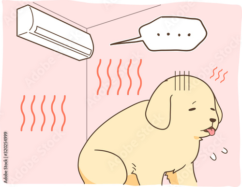 ゴールデンレトリバーの子犬（冷房の利いていない部屋）