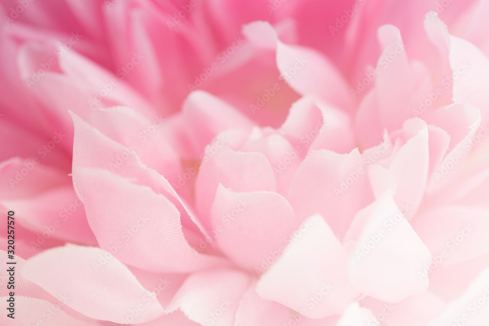 Beautiful pink artificial flower made with color filters, soft color and blur style for background