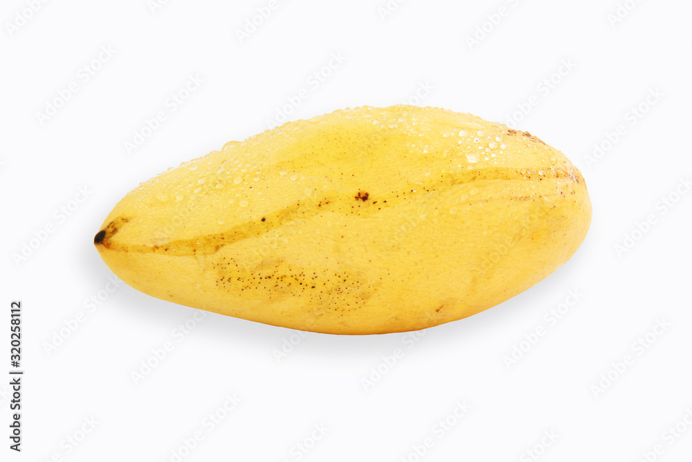 Yellow mango with water drop isolated on white background Yellow mango with water drop isolated on white background