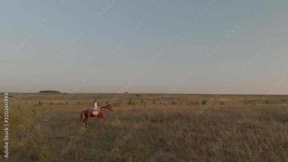Dynamic Drone shot of a woman riding a horse on a field at sunset. Dynamic Drone shot of a woman riding a horse on a field at sunset.