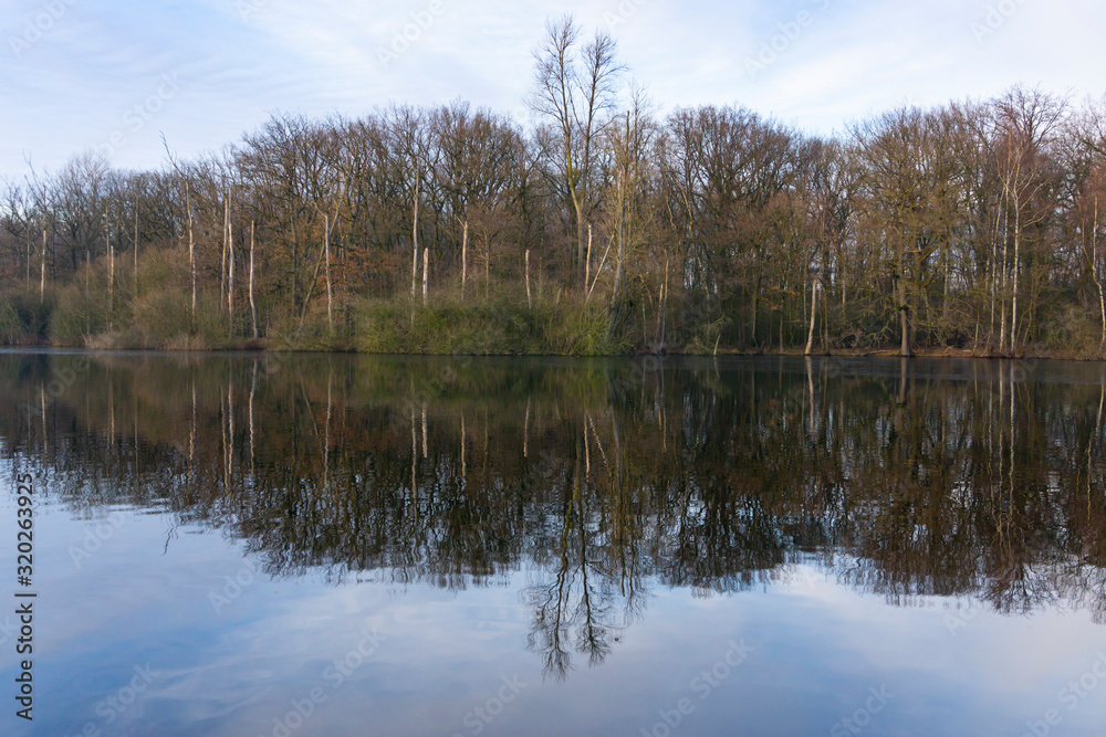 Wald mit Spiegelung am Beversee,  Naturschutzgebiet Beversee, Bergkamen, Nordrhein-Westfalen, Deutschland, Europa