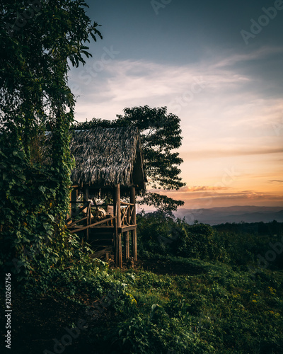 Tree house tanzania