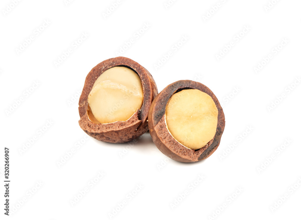 Macadamia nut isolated Macadamia nut isolated