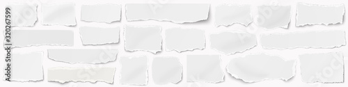 A long horizontal set of torn pieces of paper isolated on a white background.