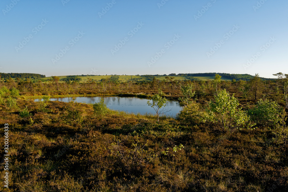 Fototapeta premium Das Naturschutzgebiet 