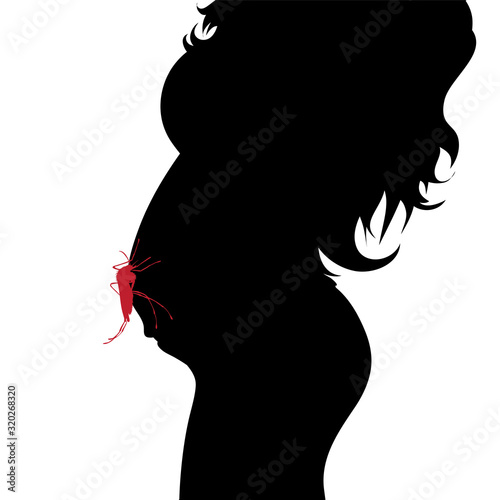 Vector silhouette of pregnant woman with danger of Zika virus on white background. Symbol of maternity and prevention illness..