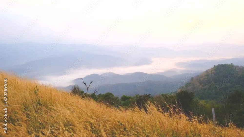 On the high mountains, the trees had to fight with the tremendous force of the strong winds. On the high mountains, the trees had to fight with the tremendous force of the strong winds.