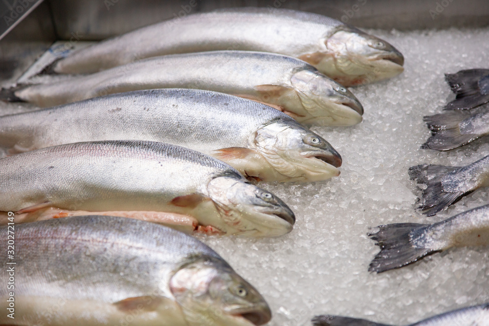 A lot of fresh fish on ice at the store A lot of fresh fish on ice at the store