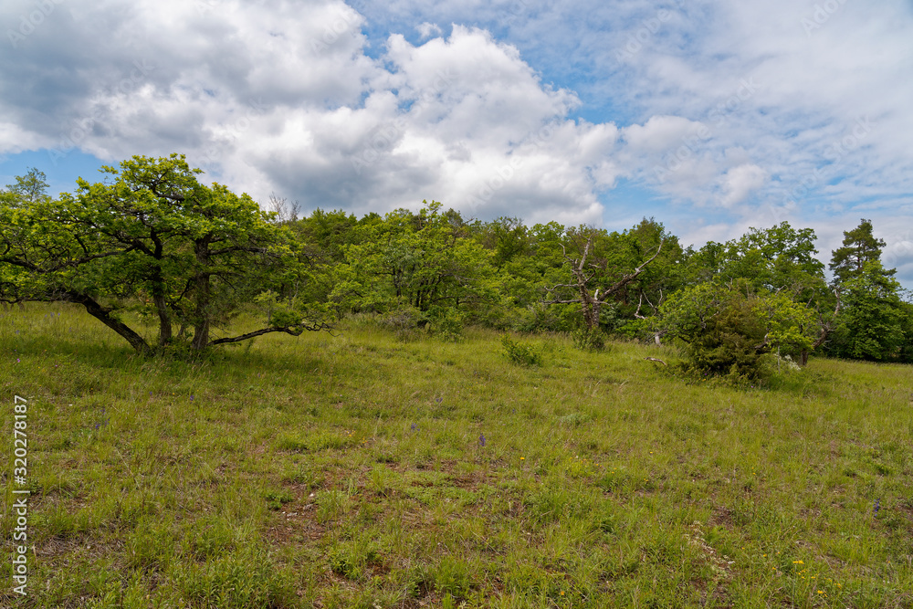 Landschaft im Naturschutzgebiet Mäusberg bei Karlstadt, Landkreis Main-Spessart, Unterfranken, Bayern, Deutschland.