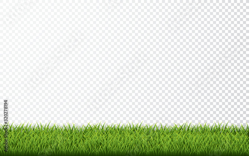 Green grass border set on transparent background. Vector Illustration