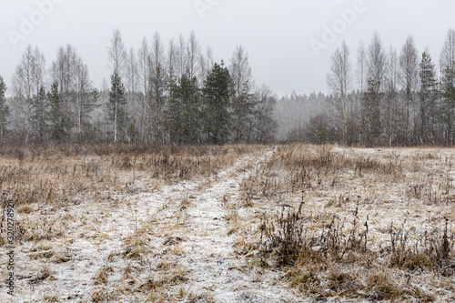 Wallpaper Mural the road passes through a snow-covered field with dry grass, a blizzard Torontodigital.ca