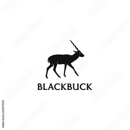 Blackbuck logo design. Antelop india silhoutte.