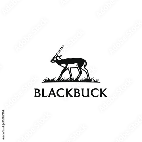 Blackbuck logo design. Antelop india silhoutte.