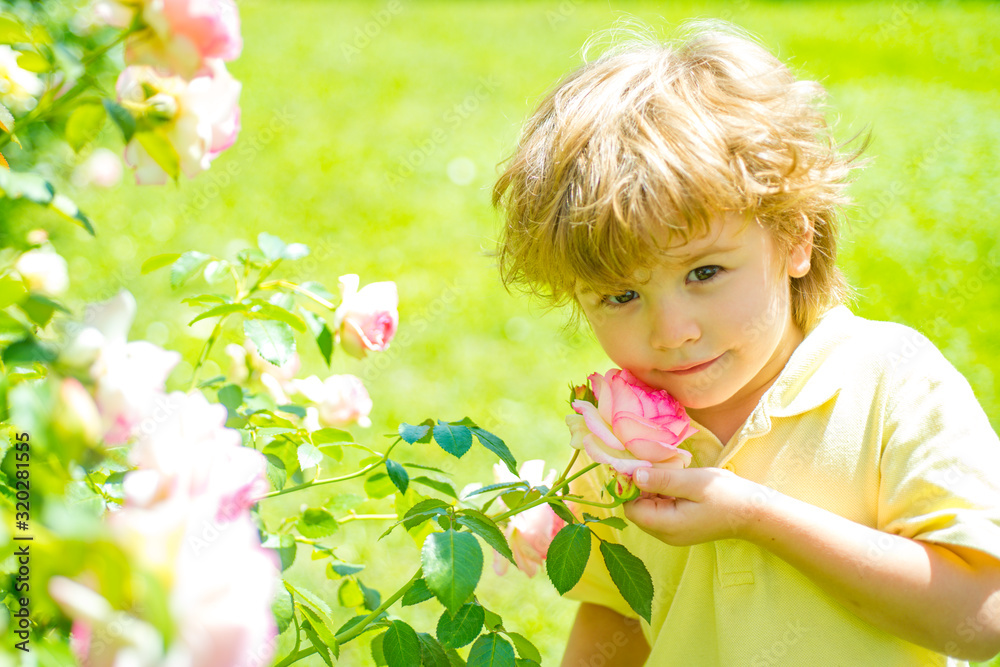 Chute child with rose. Tender kid and spring nature. Boy with flower. Chute child with rose. Tender kid and spring nature. Boy with flower.