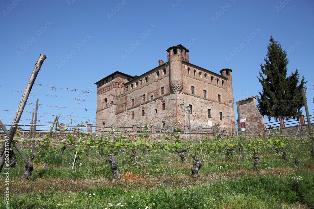 
Castle and Vineyard in Piedmont, Italy