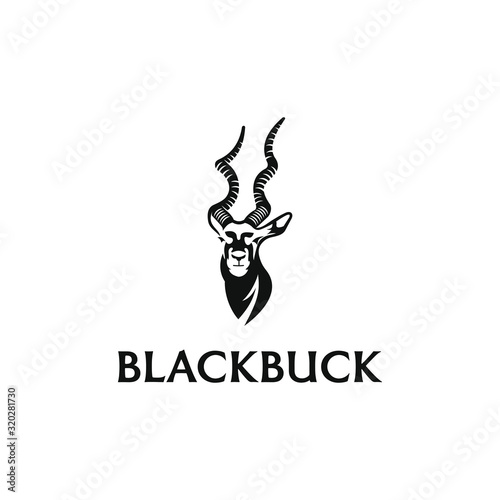 Blackbuck logo design. Antelop india silhoutte. photo