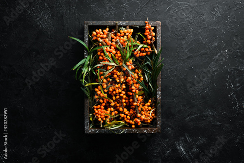 фотографія Fresh sea buckthorn berries on a twig