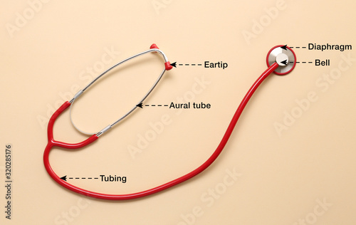 Quadro su tela Modern stethoscope with names of particular parts on color background
