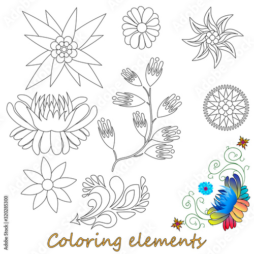 Fantasy flower elements illustration set on white isolated. Vector image. Coloring page..