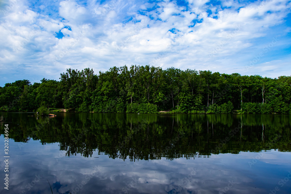 Fototapeta premium lake in forest