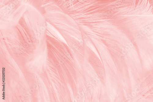 Beautiful soft pink color trends wool feather pattern texture background
