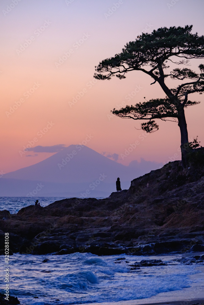 夕日 夕日