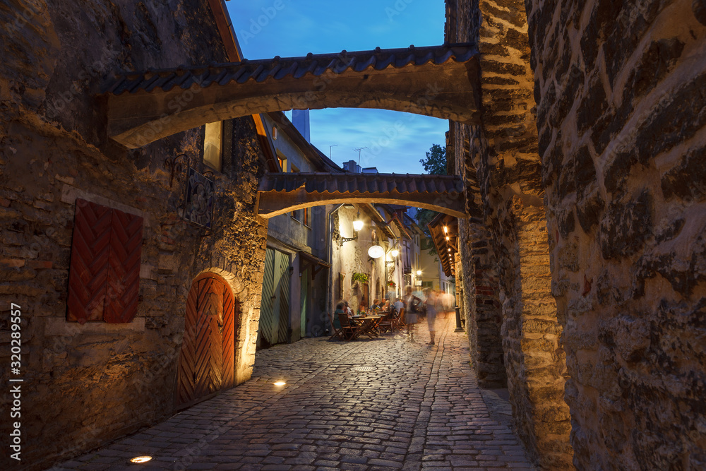 Obraz premium Katarina Passage, Tallinn, Estonia. Night view with illumination.