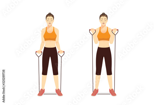 Woman using equipment for exercise with Resistance Band Bicep Curl in 2 step. Illustration about workout with lightweight equipment for targeting smaller muscles.