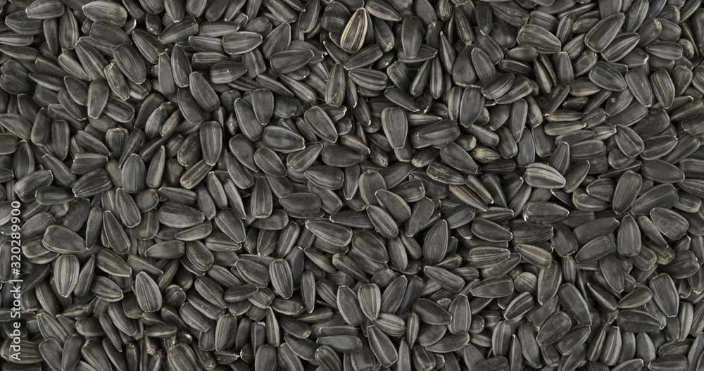Rotation, background from sunflower seeds. Grocery background. Top view. Copy space. Rotation, background from sunflower seeds. Grocery background. Top view. Copy space.