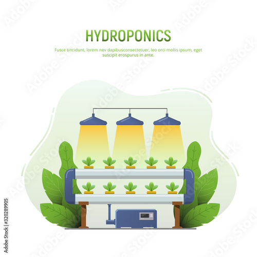 Hydroponics farm. Vegetables hydroponic system isolated on white background. Hydroponics method of growing plants without soil organic agriculture for health food. Vector illustration.