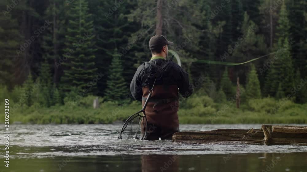 A fly fisherman wading waist deep in the river casts his line deeper into the river in order to catch a fish. This shot is from behind and has a nice view of his net. A fly fisherman wading waist deep in the river casts his line deeper into the river in order to catch a fish. This shot is from behind and has a nice view of his net.