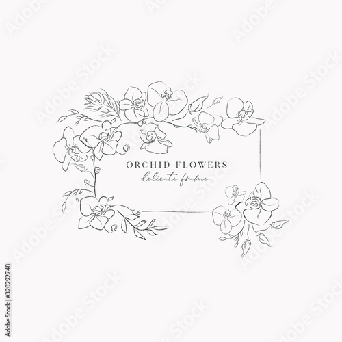 delicate line drawing vector floral wreath frame with hand drawn delicate orchid flowers, branches, leaves, plants. Botanical illustration. Leaf logo. Wedding invitation stationary