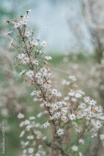 Nature shots in the forest