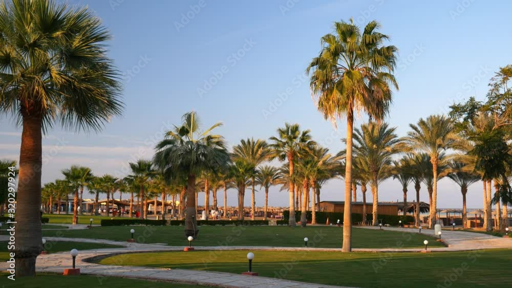 Palm Trees on Blue Sky Background. Tropical Resort in Egypt. Palm Trees on Blue Sky Background. Tropical Resort in Egypt.