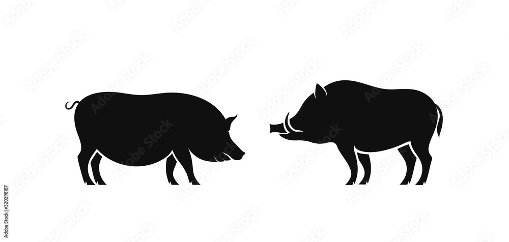Boar and pig logo. Isolated boar on white background