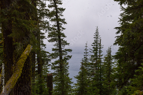 Snow falling through the trees on a stormy day by Crater Lake