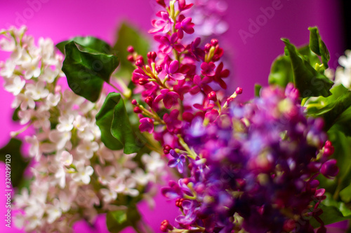 A bouquet of lilacs. Flower...