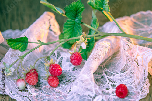 Raspberry branch on the lac...