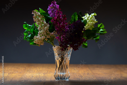 Lilac on a dark background....