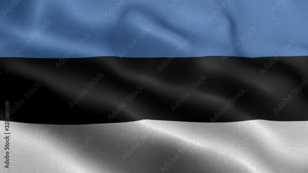Waving loop 4k National Flag of Estonia Waving loop 4k National Flag of Estonia