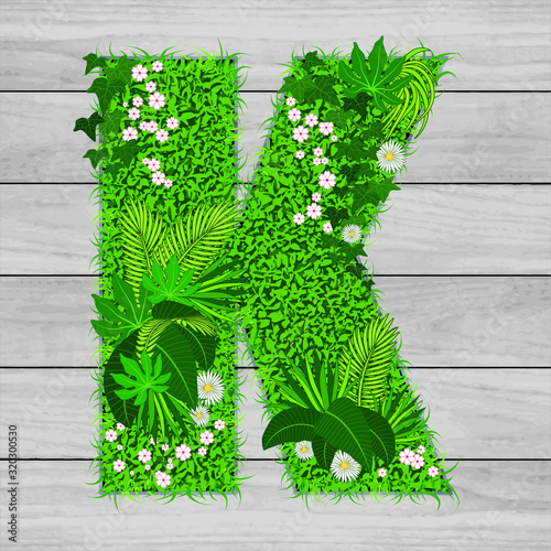 Lettre florale K - illustration vectorielle d’un gazon fleuri sur un fond de planches de bois grises.