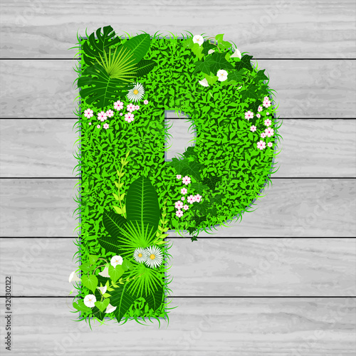 Lettre florale P - illustration vectorielle d’un gazon fleuri sur un fond de planches de bois grises.
