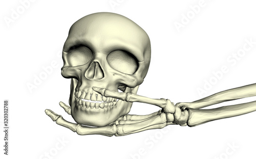 Skull in the hands of a skeleton. Human organs. Treatment. Healthcare The medicine. Anatomy. Body parts. White background. 3d rendering.