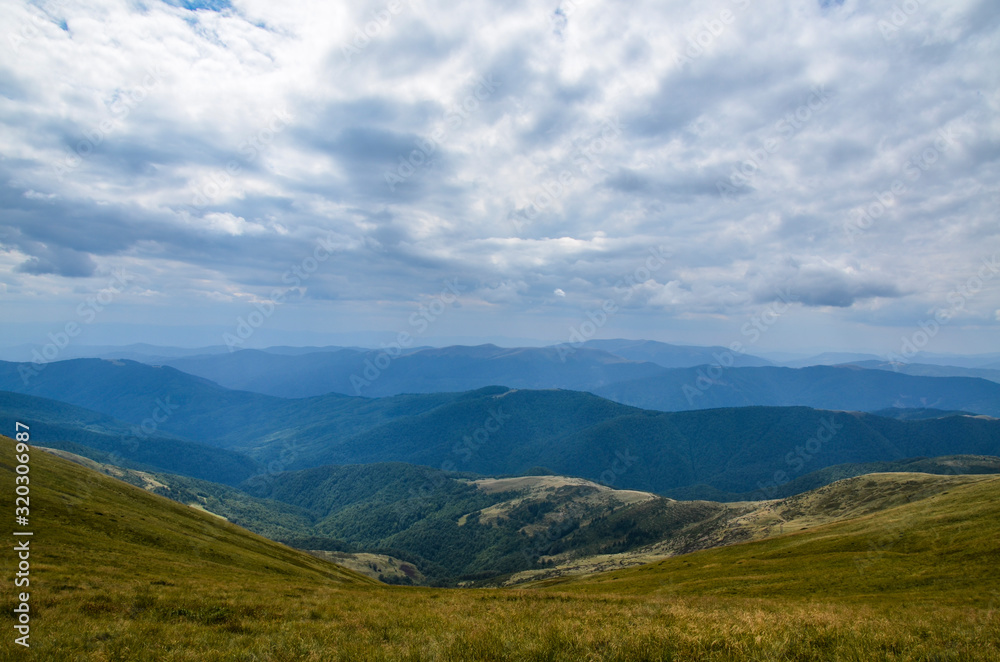 Alpine grassy meadow in autumnal Carpathians. lovely landscape of Transсarpathia with beech forest on hills and gorgeous Svydovets mountain ridge in a distance, Ukraine Alpine grassy meadow in autumnal Carpathians. lovely landscape of Transсarpathia with beech forest on hills and gorgeous Svydovets mountain ridge in a distance, Ukraine