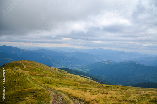 Alpine grassy meadow in autumnal Carpathians. lovely landscape of Transсarpathia with beech forest on hills and gorgeous Svydovets mountain ridge in a distance, Ukraine 