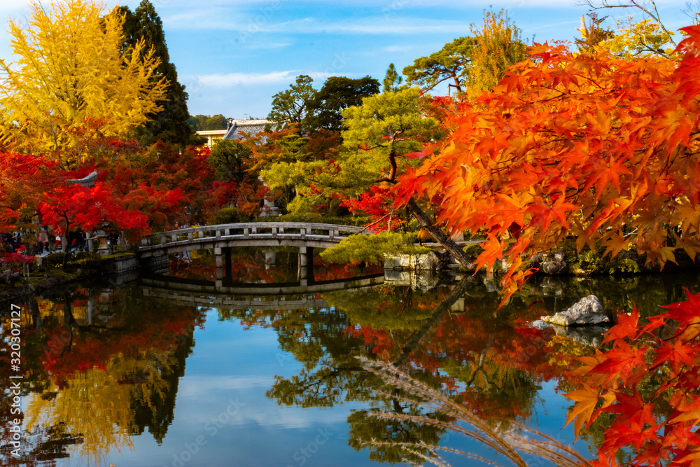 Japanese Autumn Momiji in Japan